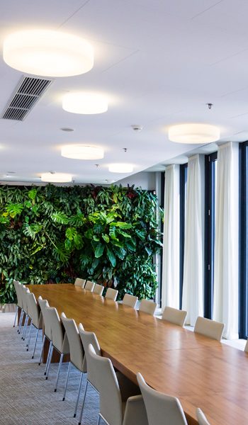 Living green wall, vertical garden indoors with flowers and plants under artificial lighting in meeting boardroom, modern office building